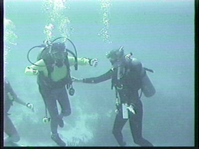 Two persons scuba diving in the ocean