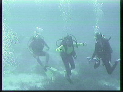3 people scuba diving in the ocean