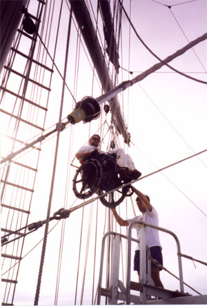 Gene being lowered using a block and tackle system