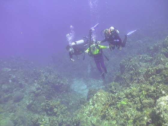 3 people scuba diving
