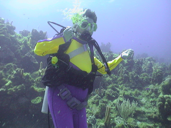A person swimming in scuba gears front of a underwatercorals
