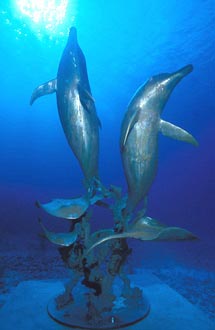 A dolphin jumping out of the water