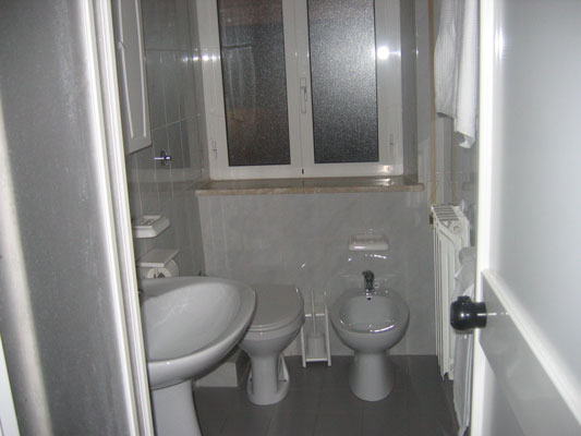 A view of the shower and sink and bathroom