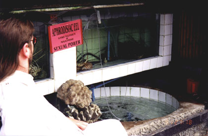 Gene standing near a tank of Eels