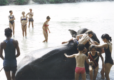 A group of people standing next to a body of water washing an elephant