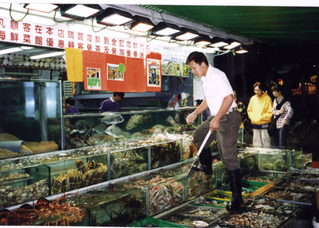 Hong Kong restaurant interior