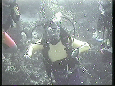 gene scuba diving in the ocean
