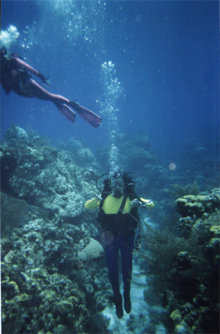 A man swimming in a body of water