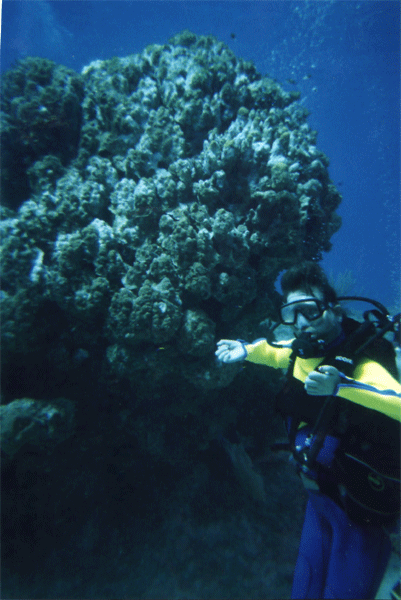 Gene scuba diving in front of an underwater coral