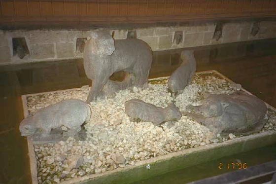 Puma and Puma cubs stone sculpture