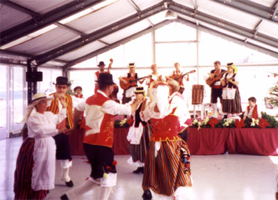 A group of people dressed in traditional clothes dancing and playing music