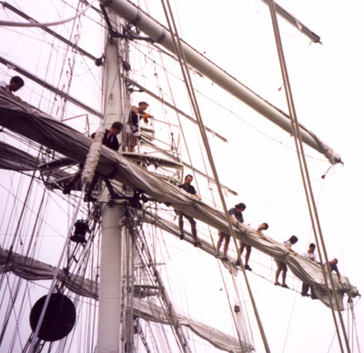 A group of people reefing the sails