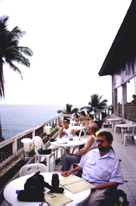 A group of people sitting at a restaurant with the ocean and palm trees in view