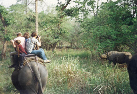 A group of people riding on the back of an elephant taking a picture of a rhino