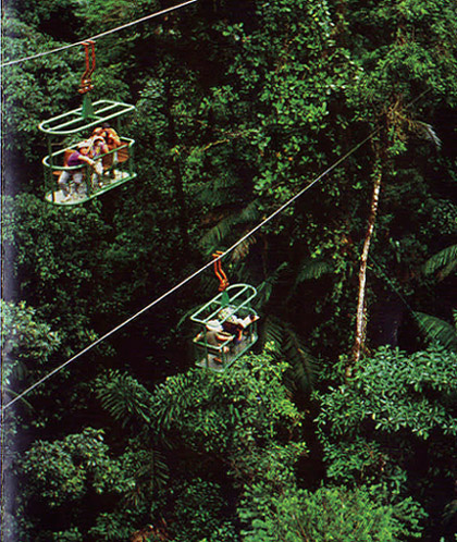 Tramp line hanging across the jungle