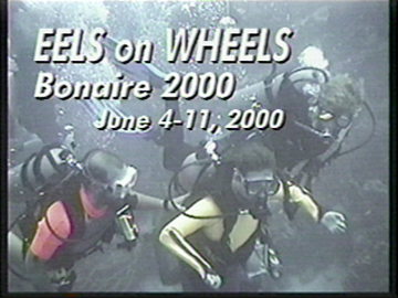 eels on wheels Bonaire 2000. June 4-11 2000