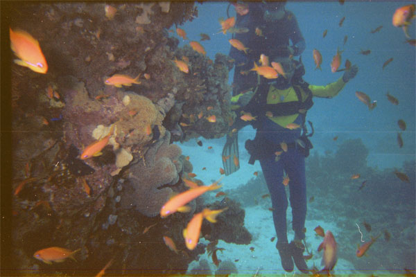 Gene scuba diving and his fins are not seen on his feet