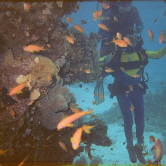 Gene scuba diving in Sharm El-Sheikh, Egypt.