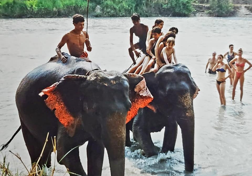 Young adults sitting on top of elephants in a river.